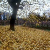 Cascina Piano Autunno